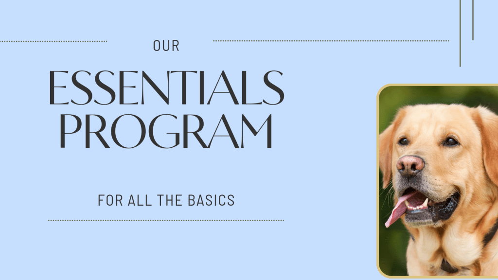 Essentials Dog Training Program