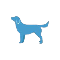 blue dog
